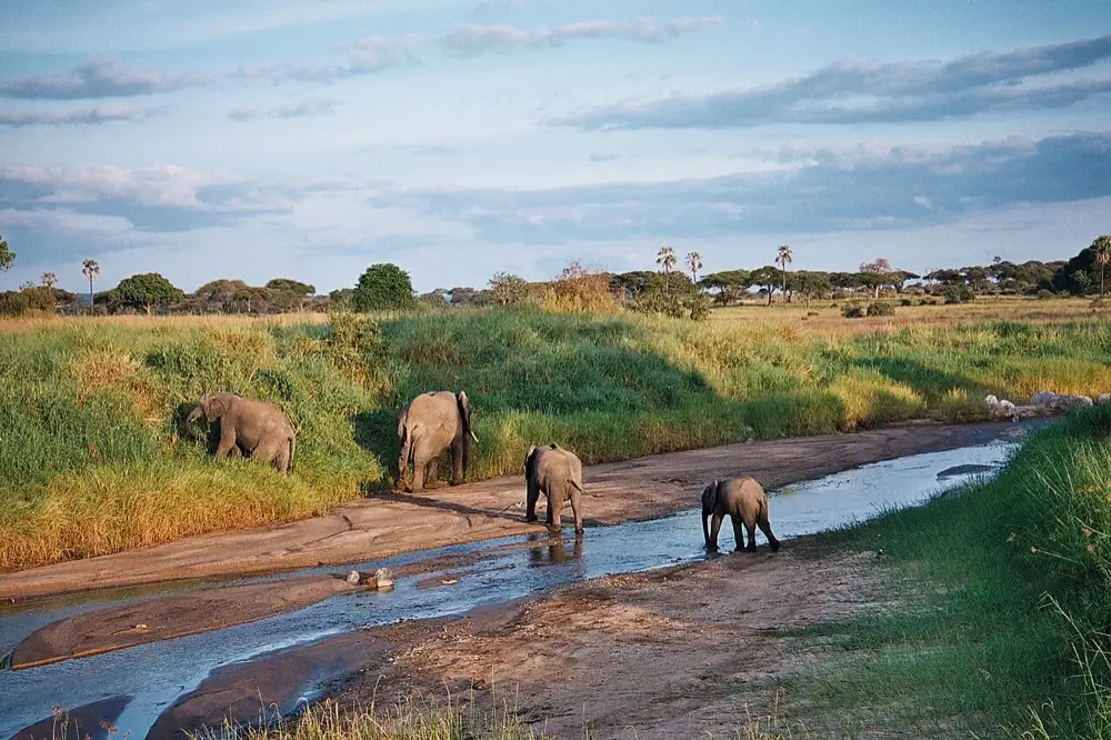 Tarangire, Manyara & Ngorongoro