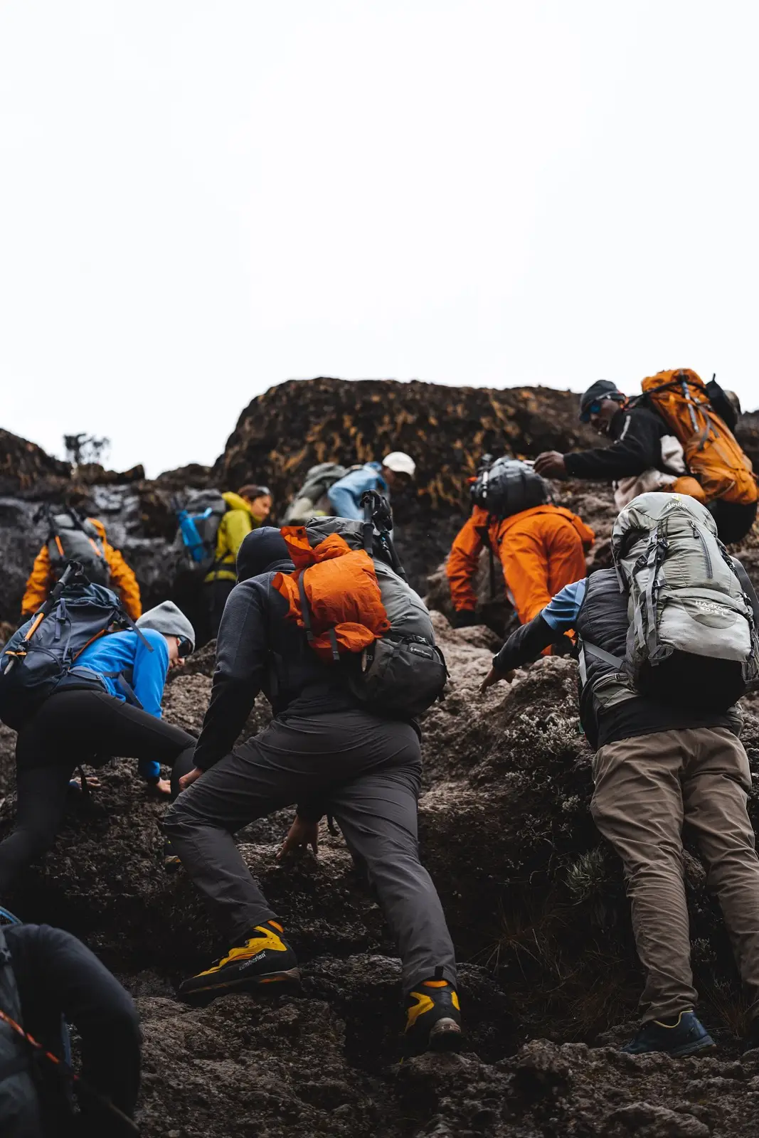 Kilimanjaro trekking