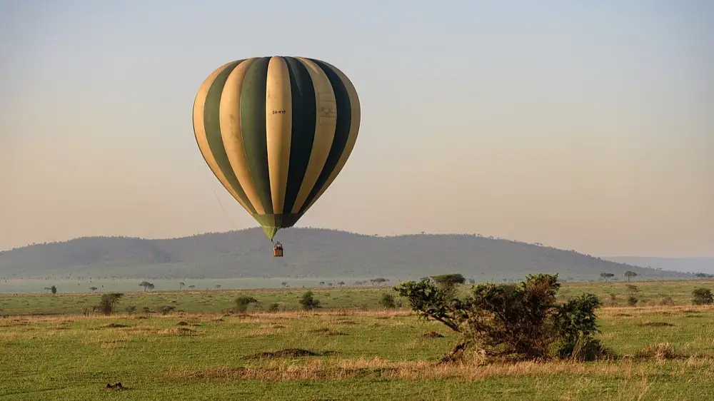 Honeymoon Safari: Arusha to Serengeti